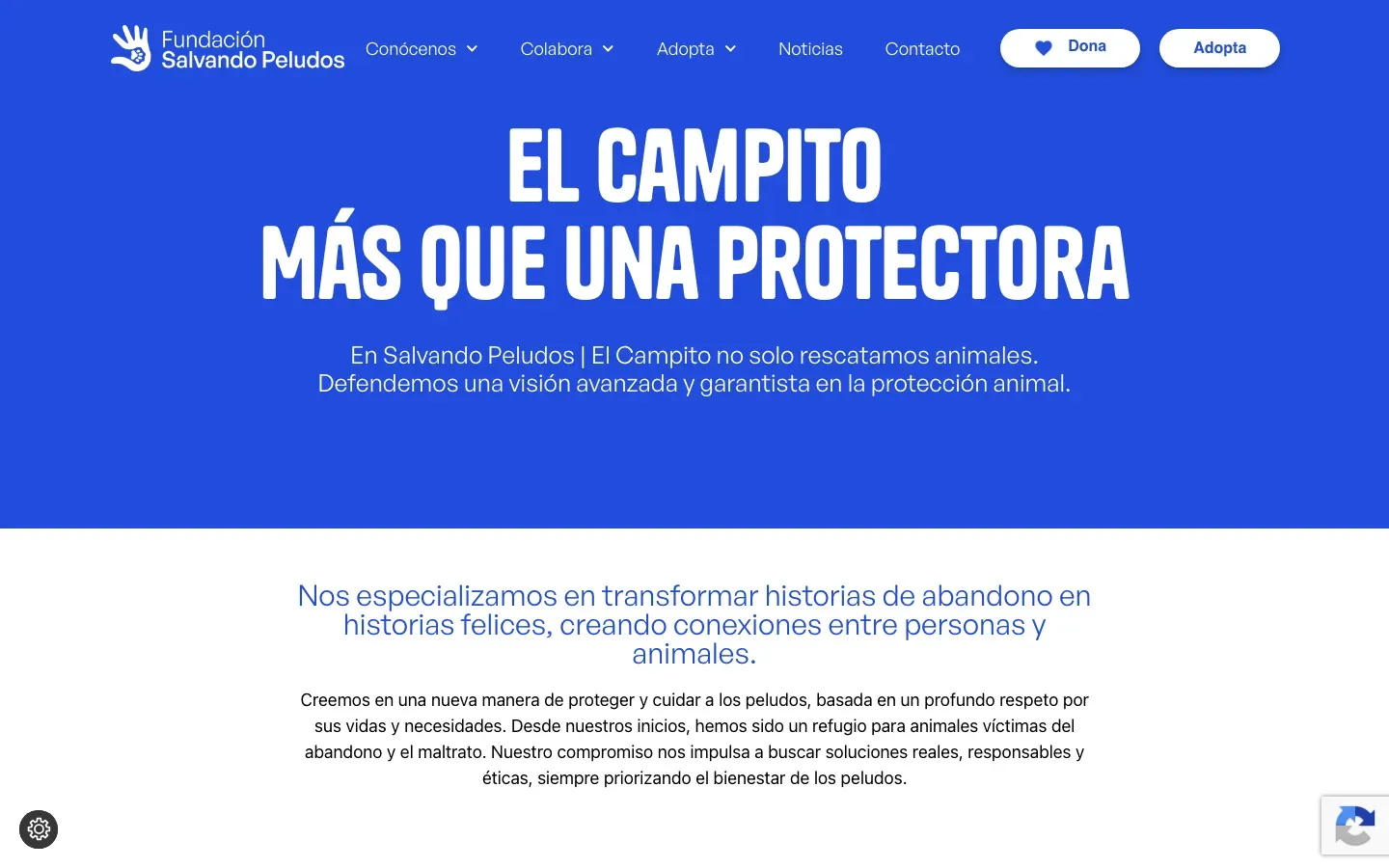 Web de Salvando Peludos en versió d’escriptori, captura 2 de 2